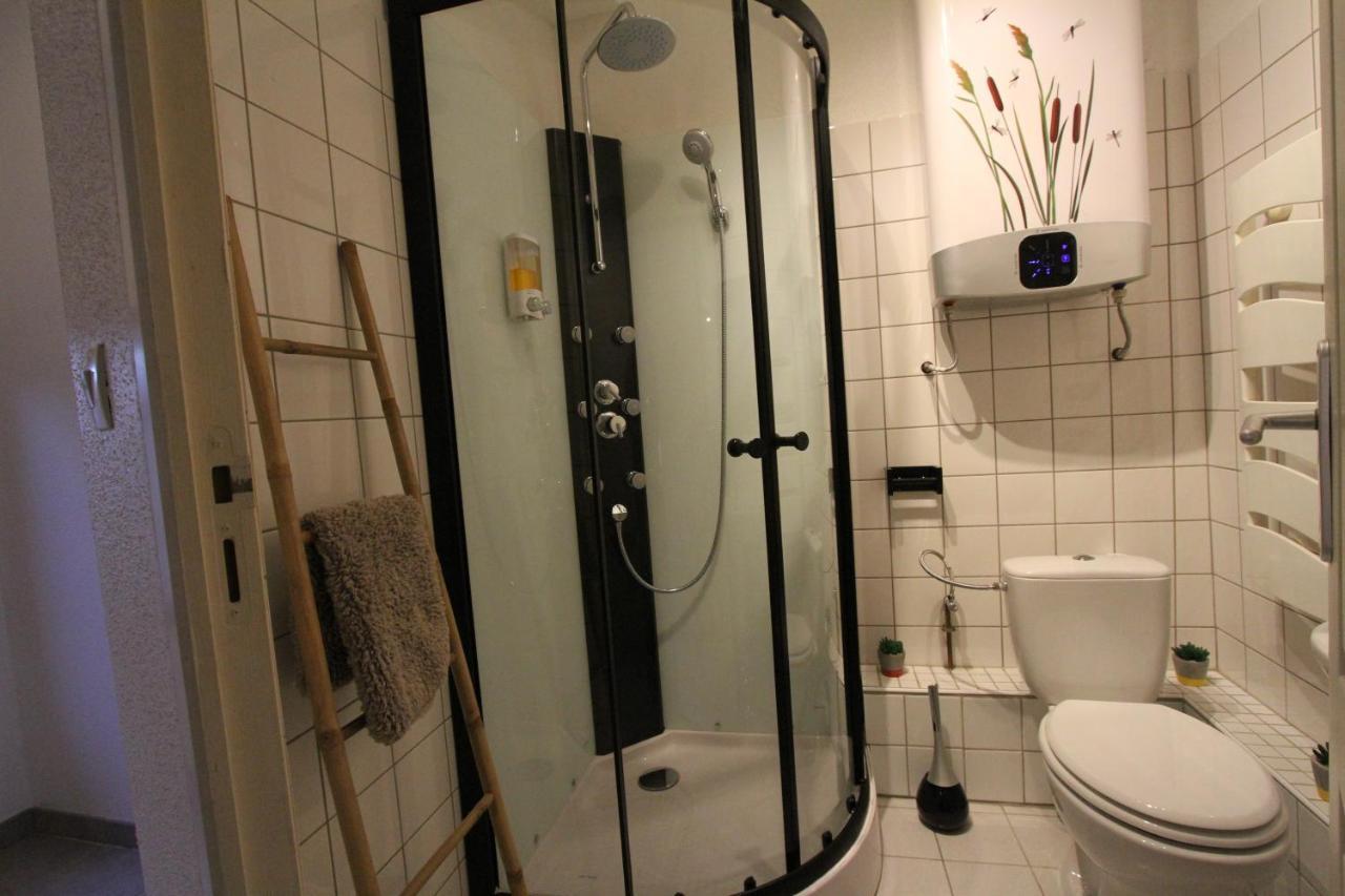 "Appartement Au Centre & Parking" Logement Petite Venise Colmar Exterior foto