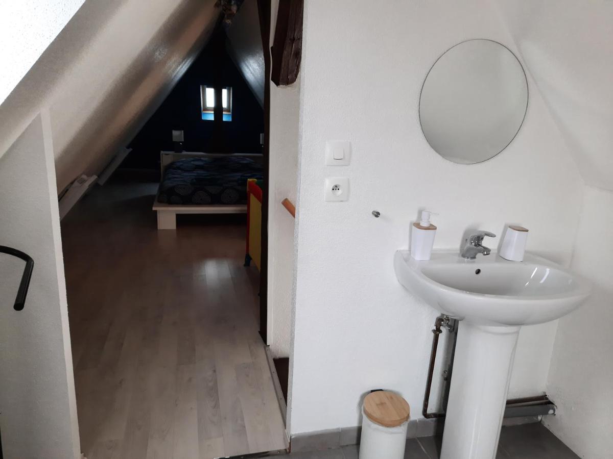 "Appartement Au Centre & Parking" Logement Petite Venise Colmar Exterior foto